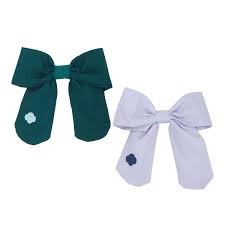 Cadette, Senior, Ambassador Bow Set